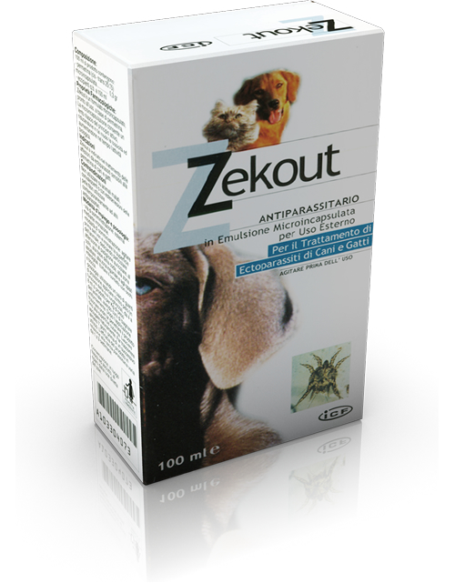 Zekout